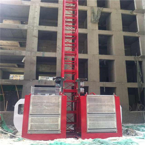 China Professional Supplier of Construction Hoist