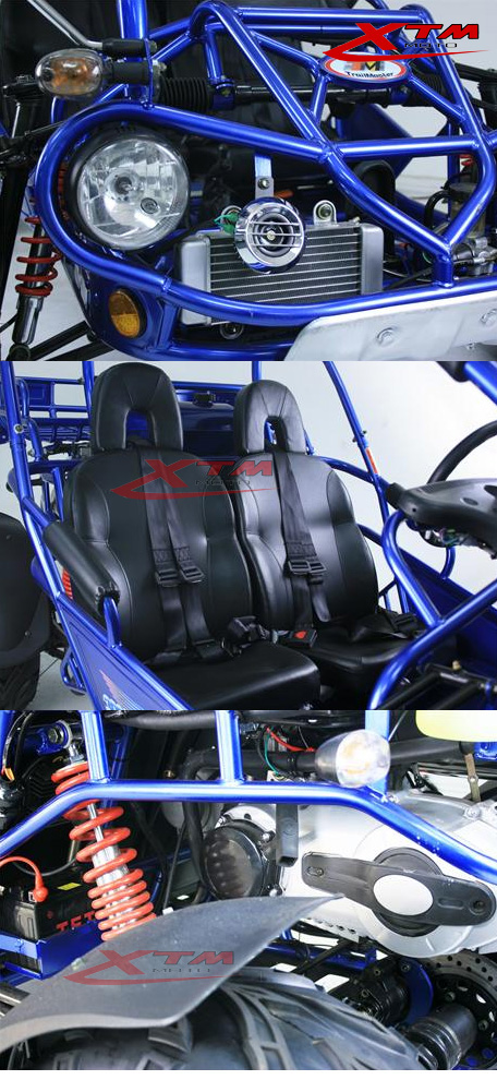 300cc Racing Rental Gas Buggy CVT Adult Pedal Go Kart