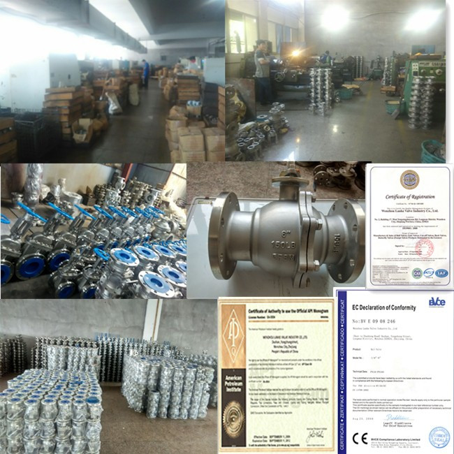 Y Type Strainer (SY11W) with Thread