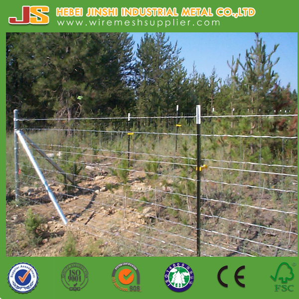 Hot Dipped Galvanized T Shaped Fence Post Studded T Post