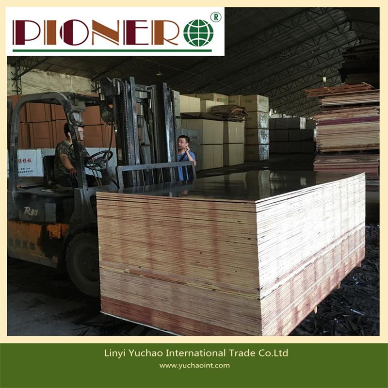 Two Molding High Quality Film Faced Plywood for European Market