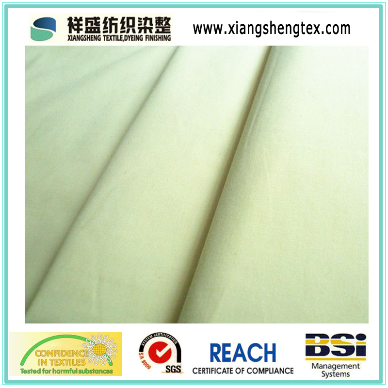 45*45 Polyester Cotton Poplin with Mercerized for Garment