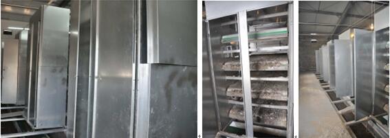 H Frame Battery Cage for Layer Chicken