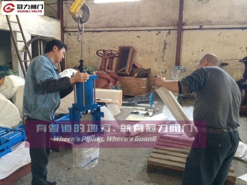 Slurry Knife Gate Valve with Nr Seat Ring