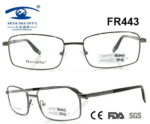 Classical Style Metal Glasses Frame (FR443)