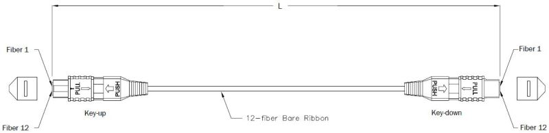 MPO Multimode Singlemode Fiber Optic Patch Cord