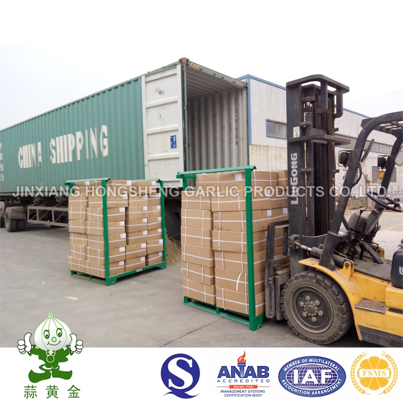 Good Selling Chinese Oiled Garlic Granules Crop 2015