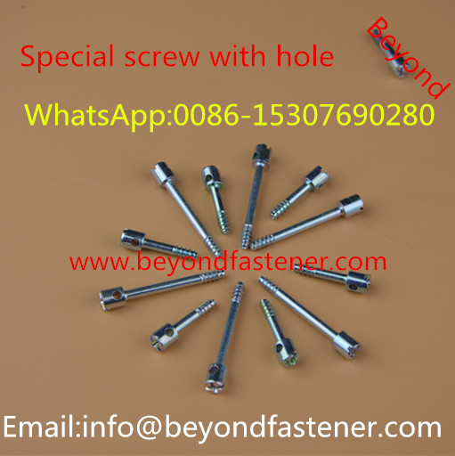 Step Screw Special Bolts Screw with Hole