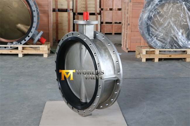 Stainless Steel Wafer/Lug/Flanged Butterfly Valve (CBF01-TA01)