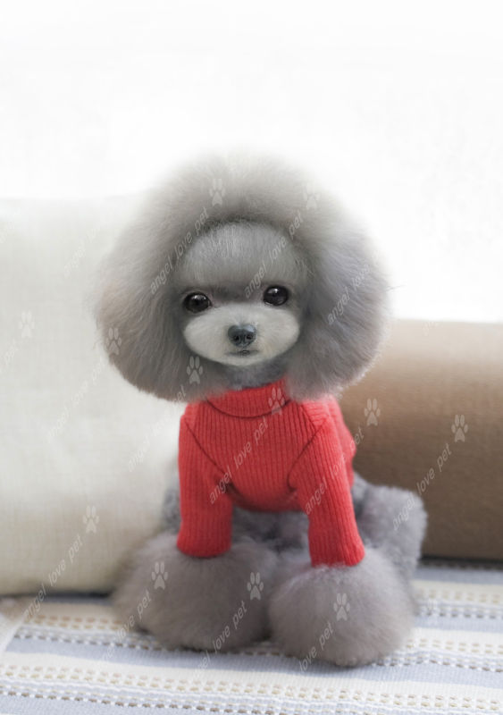 New Design Fashion Sweater Pet Dog Clothes