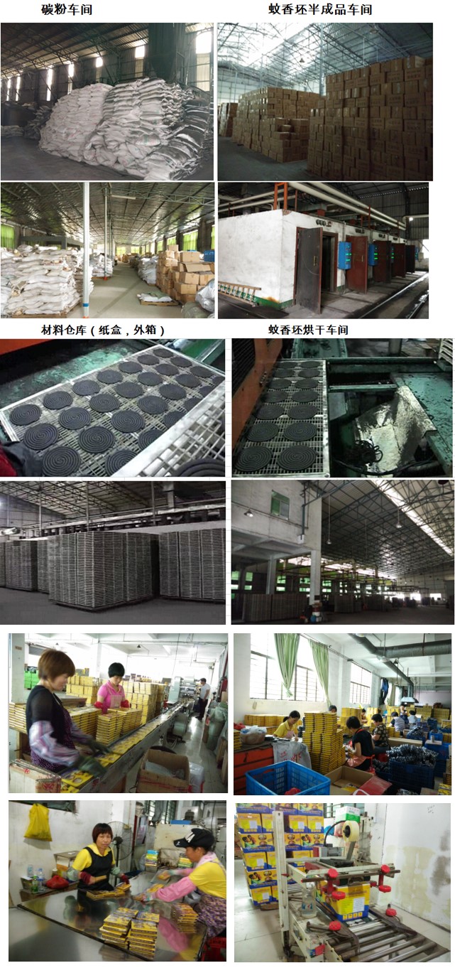 Yuanlong Factory BNC Mosquito Coils for Middle East /Syria/Libya