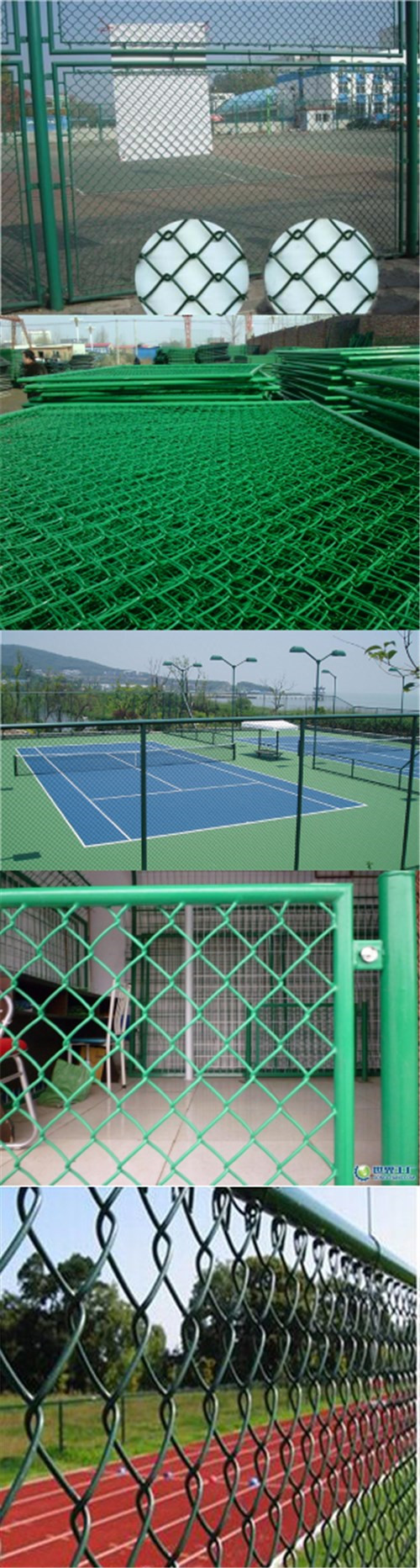 PVC Coated Galvanized Chain Link Fence/ Chain Link Wire Mesh