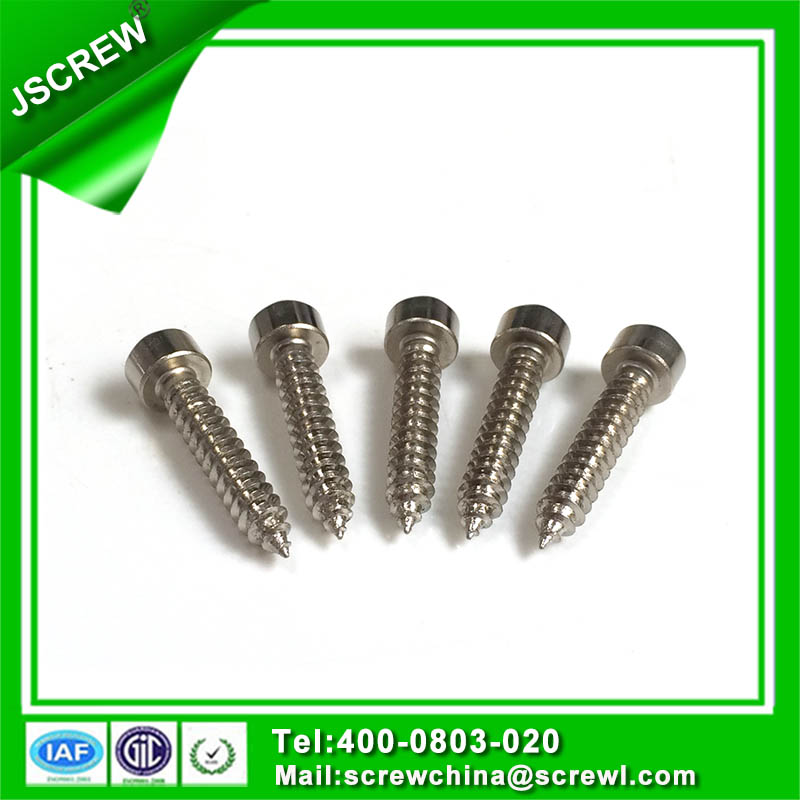 Hex Socket Head Cap Stainless Steel Screw for Bicycle