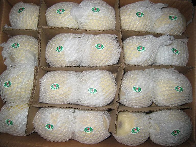 Chinese Golden Pear/Crown Pear Good Quality and Price