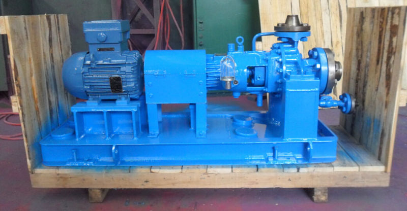 API Standard Oh2 Type Oil Pump