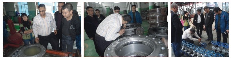 API Butt Welding Power Station Gate Valve