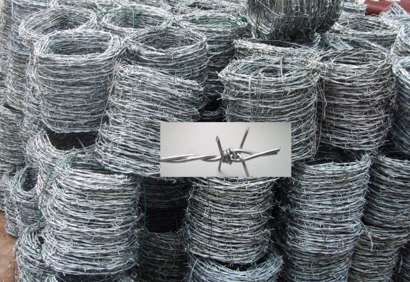 Hot-Dipped Galvanized Razor Barbed Wire/Barbed Wire for Fence