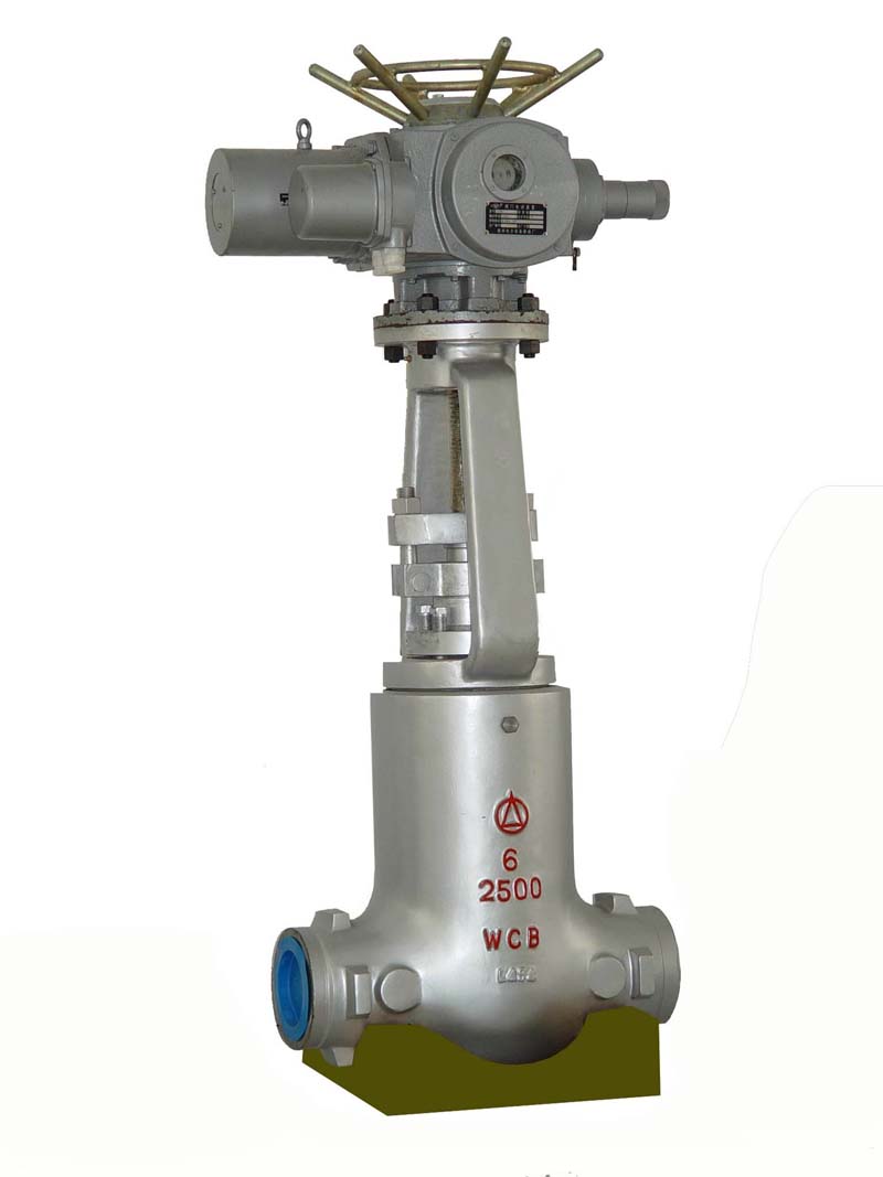 High Pressure Power Station Globe Valve