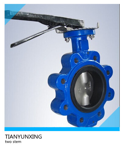 Casting CF8m Disc Two Shaft/Stem Lugged Butterfly Valve