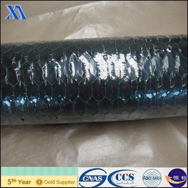 PVC Green Wire Garden Chicken Wire Netting (XA-HM415)