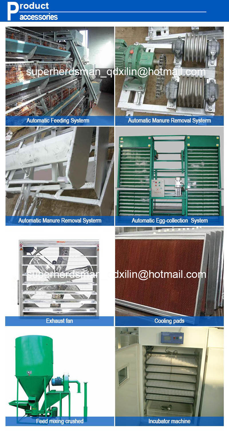 Poultry Cage Chicken Raising Equipment for Sale