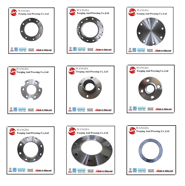 En 1092-1 Pn 10 Carbpn Steel Forged Flanges for Water Works