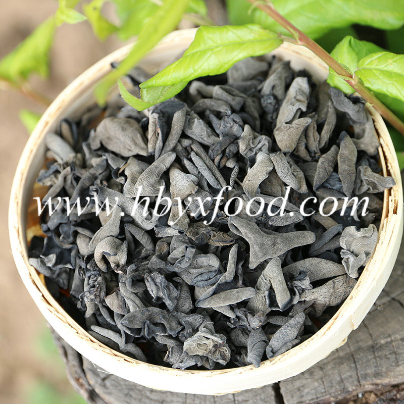 Delicious Chinese Food Dried Black Agaric