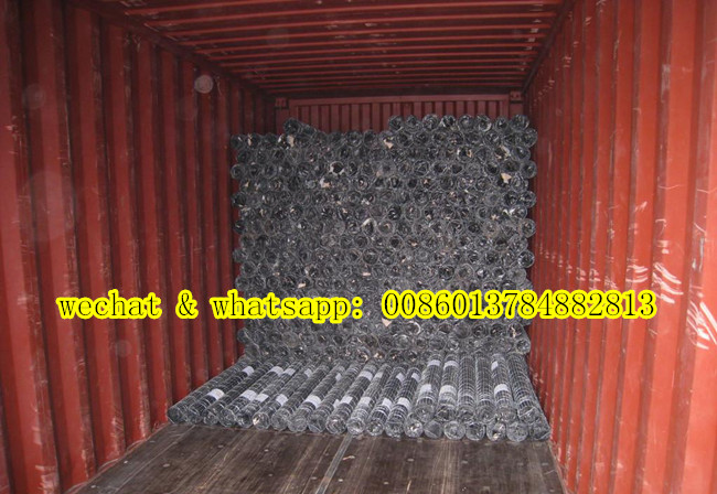 Galvanized Chicken Wire Mesh Box (hexagoanl netting)