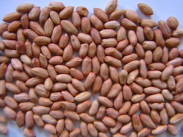 High Quality Peanut Kernels with Red Skin