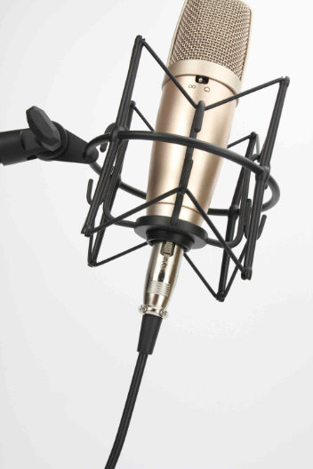 Recording Microphone for Professional Performance