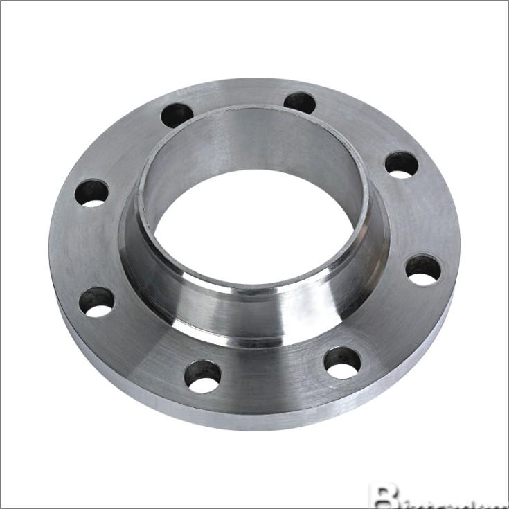 Competitive Stainless Steel Weld Neck Flanges (YZF-F162)