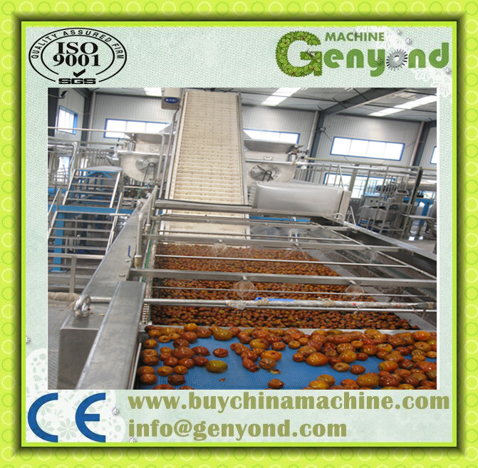 Small Middel Scale Date Paste Making Machine