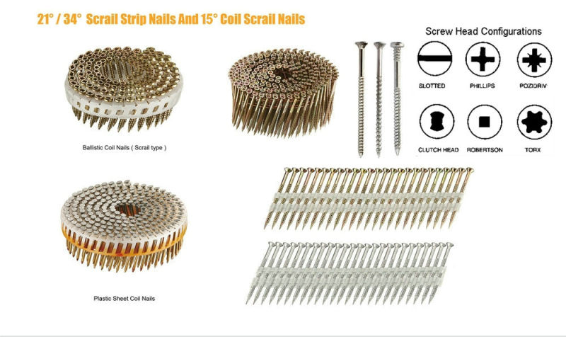 15 Degree Torx Head Nail Collated Screw