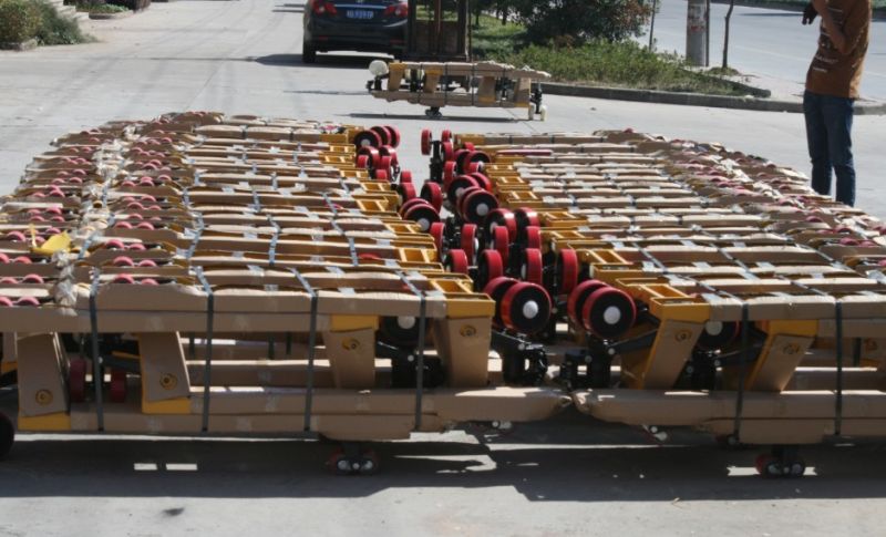 1000~3000kg Hydraulic Hand Pallet Jack/Truck with Good Quality