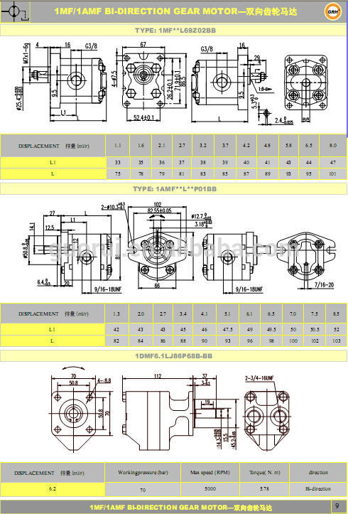 Bi-Direction Cast Iron Gear Motor Gear Pump