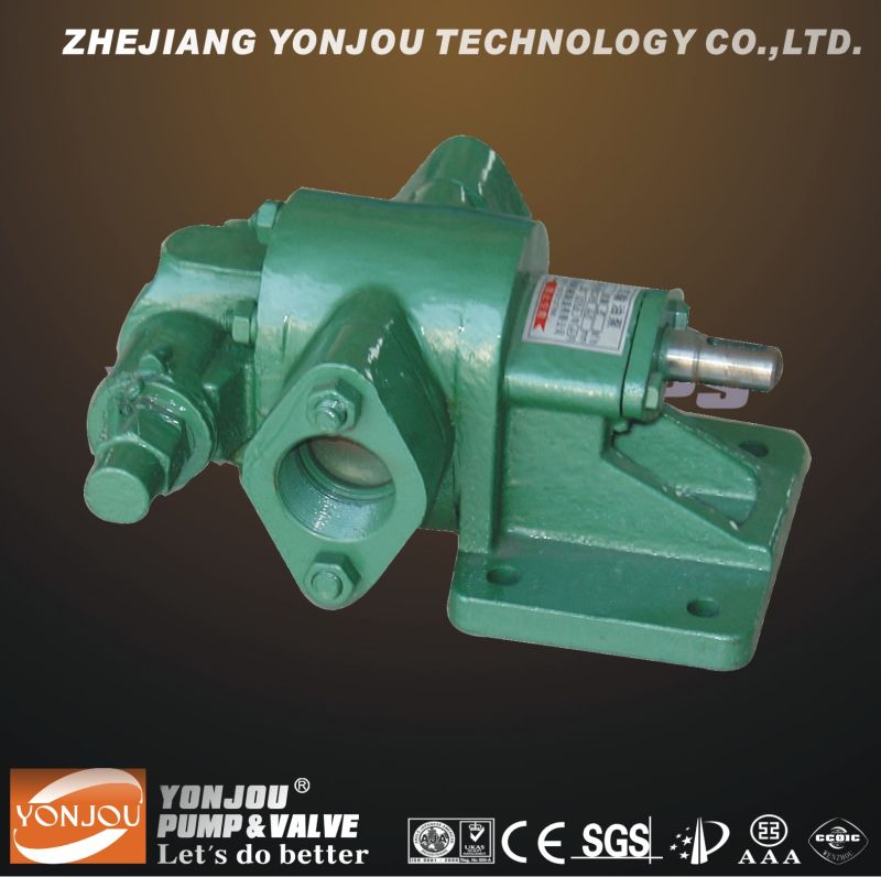 KCB 2cy Classical Gear Lobe Oil Pump with Competitive Price (KCB 2CY)