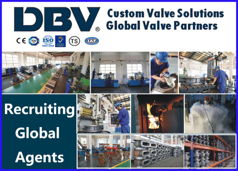 Lever Wafer Type Soft Sealing Butterfly Valve Casting Wcb