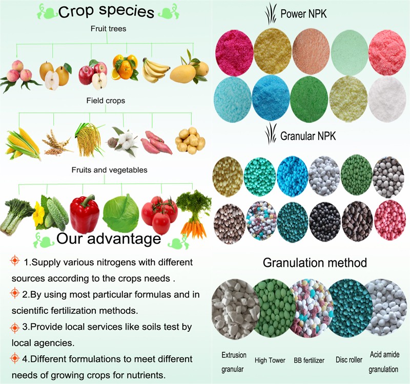 Sop Based NPK Fertilizer 16-16-16 for Cash Crops Fruits Vegetables