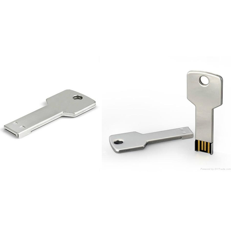 Key Shape USB Flash Drive with Free OEM Service