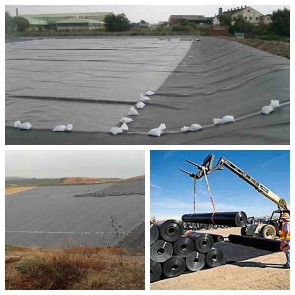 Shrimp Culture HDPE Geomembrane Liner High Quality