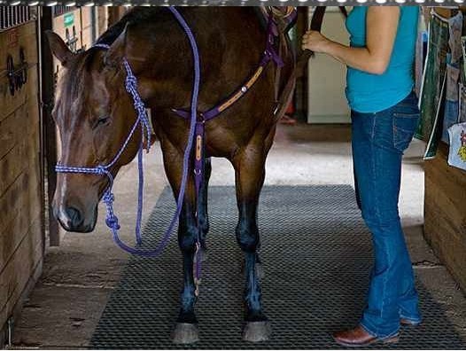 Farming and Equestrian Rubber Stable Mat