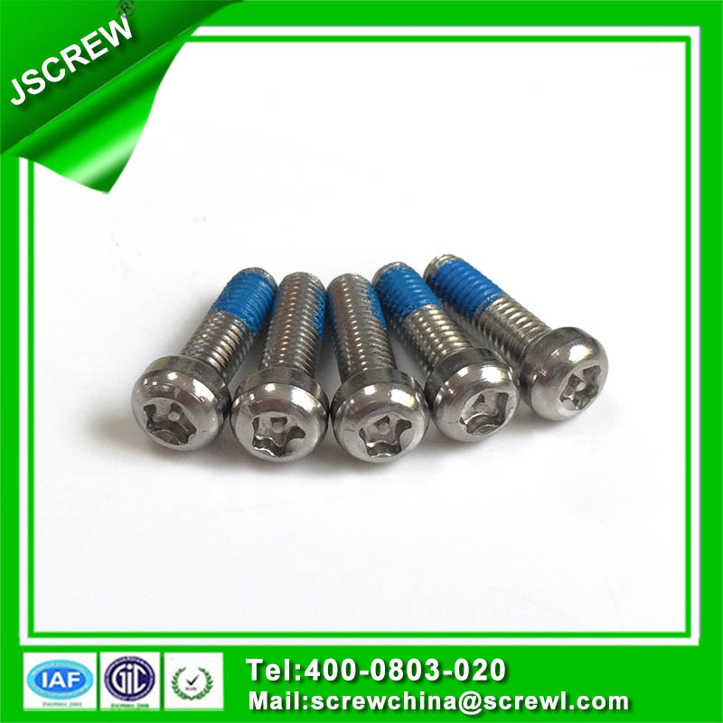 Metric Size Nylok Anti Theft Screw for Fan