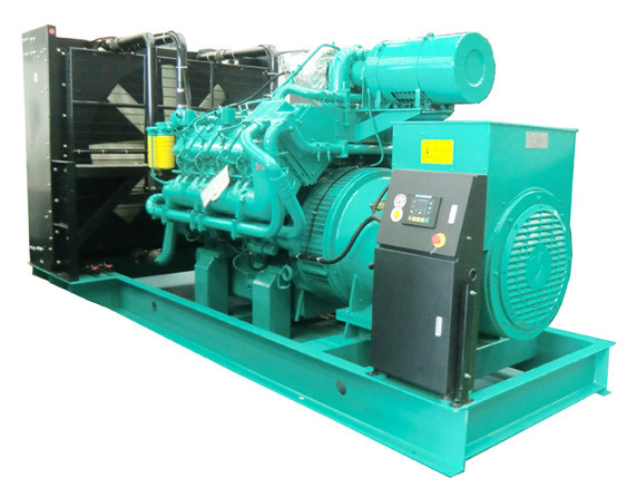 50Hz 800kw Googol Engine Fuel Mixed Generator Set Gas Diesel