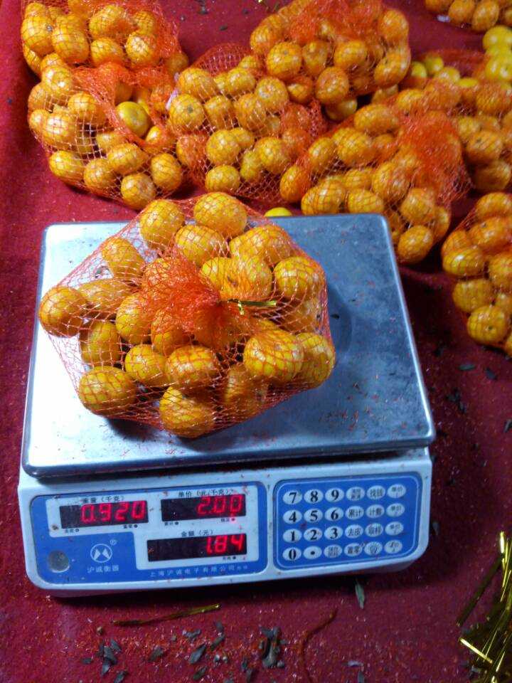 2016 New Crop Nanfeng Small Sweet Baby Mandarin