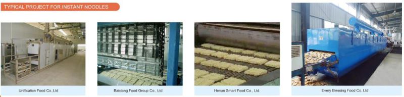 Multi-Layer Mesh Belt Dryer for Fruit Chips