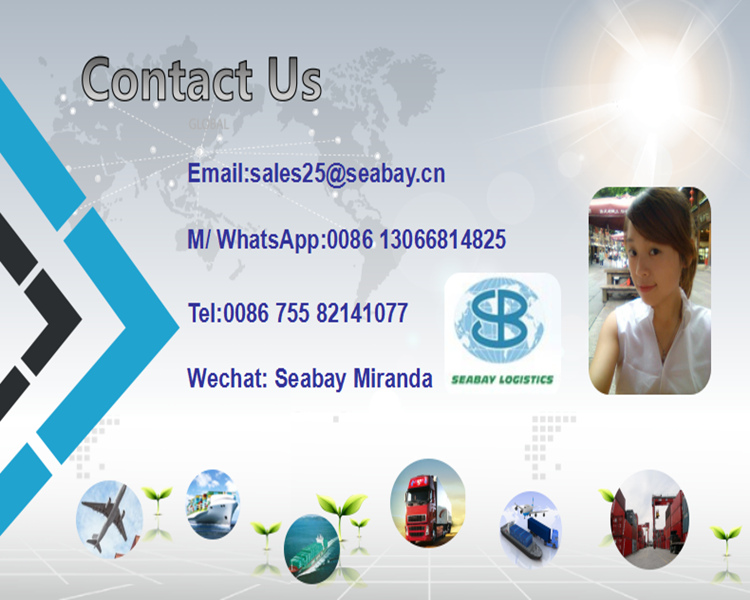 Shenzhen Professional Air/Ocean Freight Forwarding to Canada