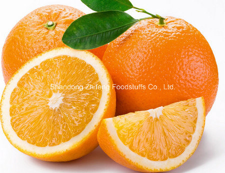 High Quality Delicious Navel Orange