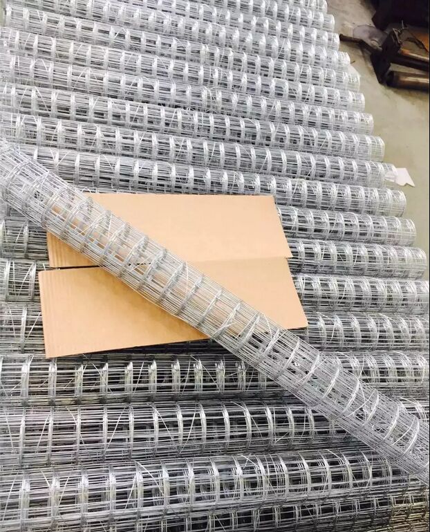 Welded Wire Mesh Galvanized Iron Wire