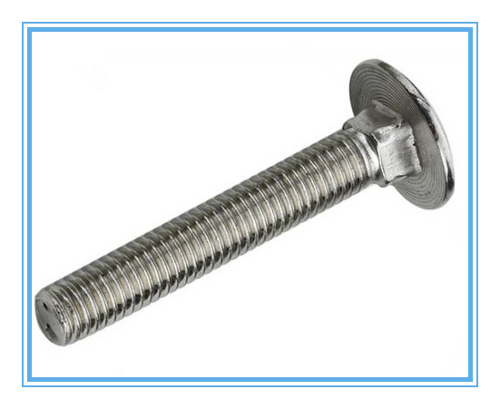 M5-M20 of Round Head Bolts with Stainless Steel