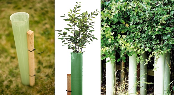 Unit-UV Plant Protector/PP Plant Protector/Plant Tree Guards